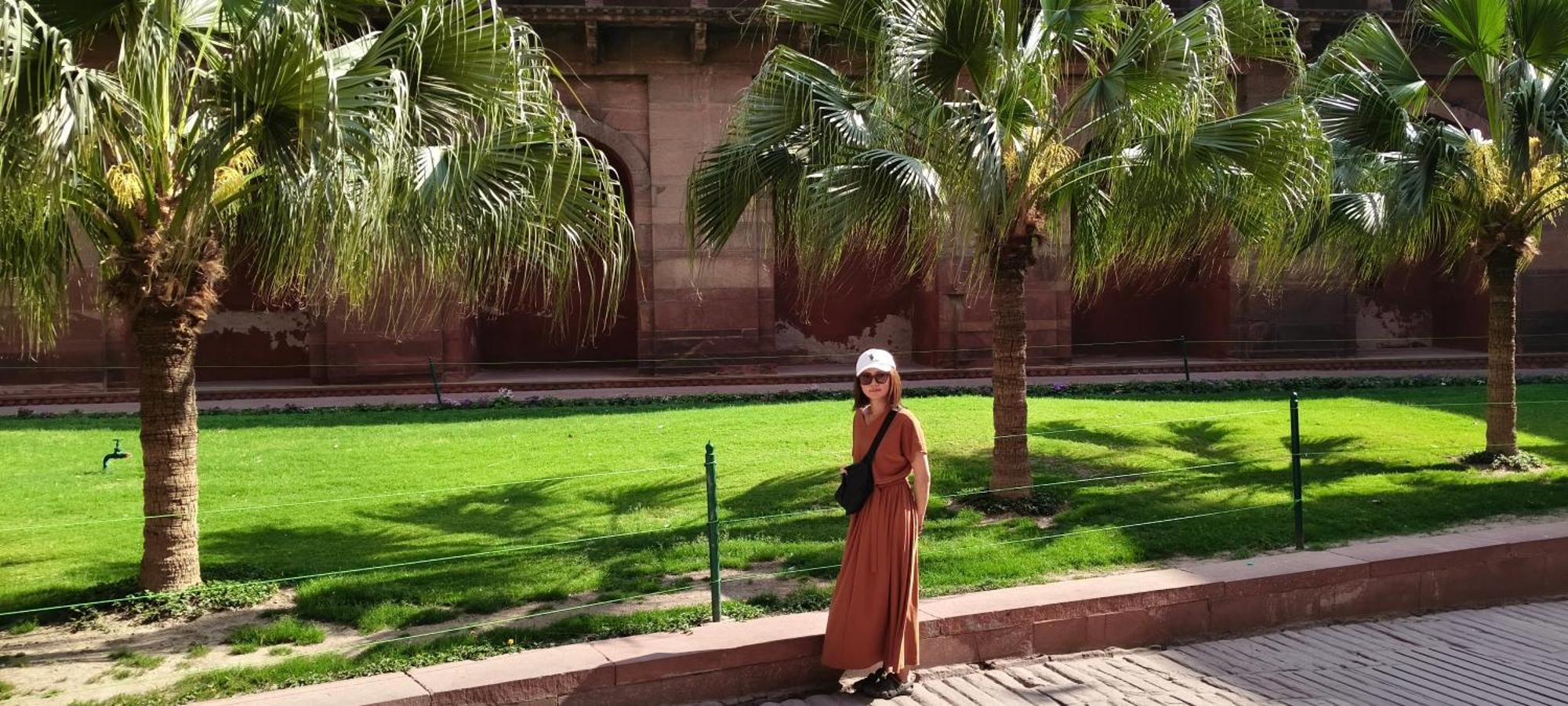 Mayur Villa Agra  Esterno foto
